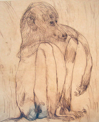 Artwork: Vervet Monkey AP