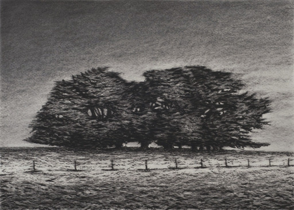 Kathryn Ryan | No White Walls Exhibition, Abu Dhabi