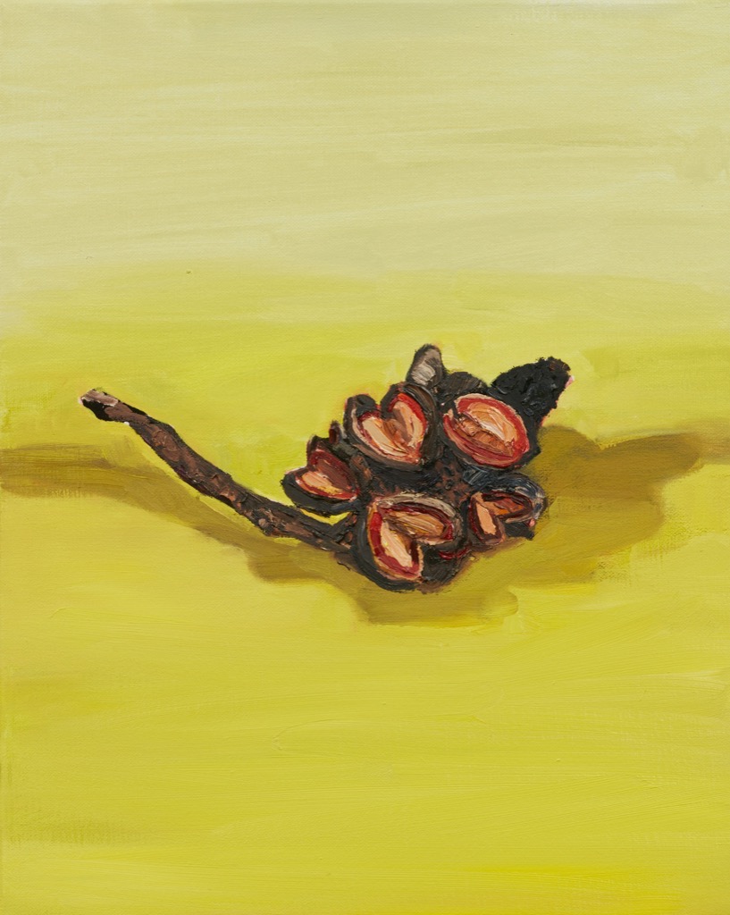 Artwork: Burnt Banksia 2