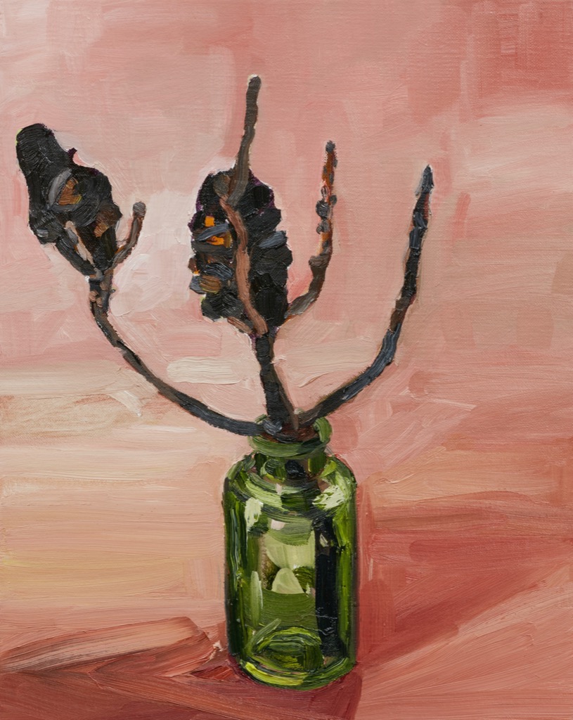 Artwork: Burnt Banksia 7