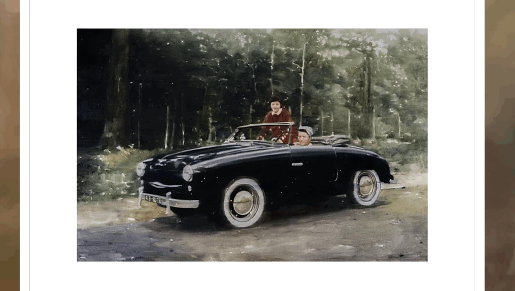 Re-imaginings: Nostalgia and cultural memory in the paintings of Dani McKenzie and McLean Edwards