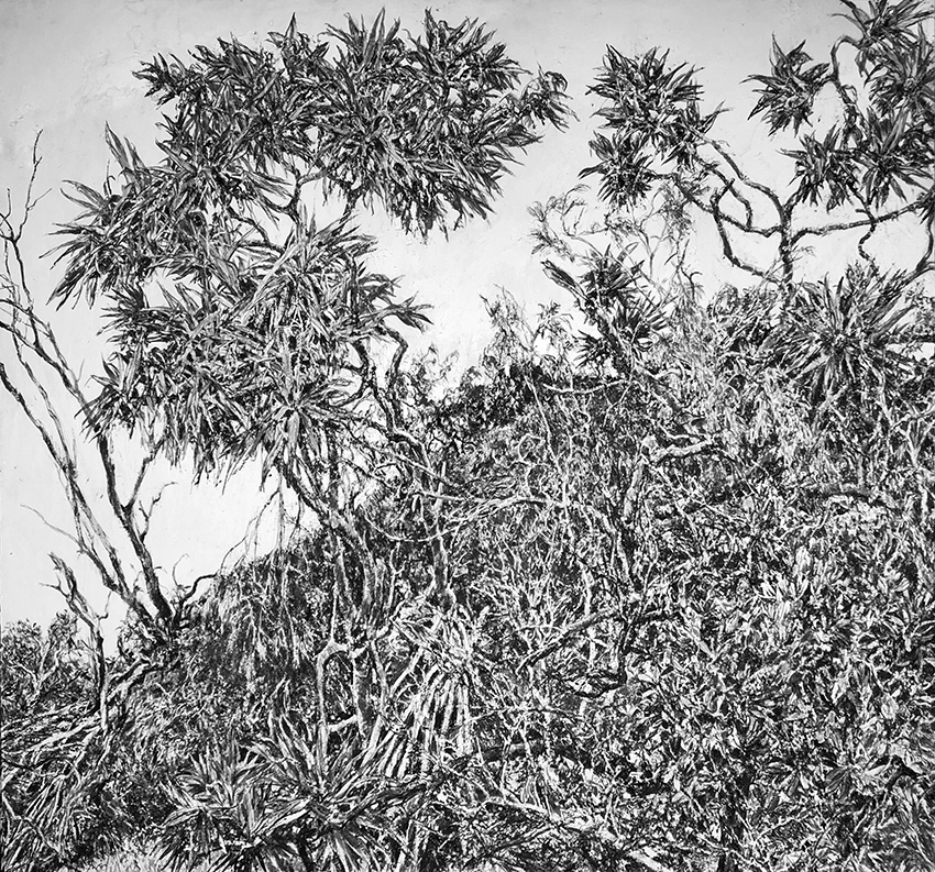 Yaegl Pandanus Scrub