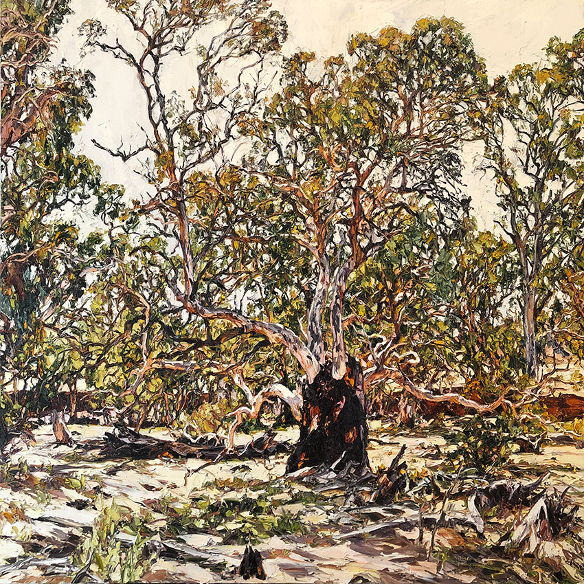 Artwork: Brachina Riverbed Light