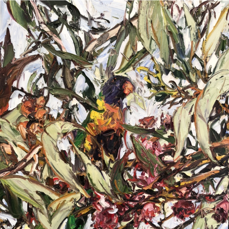 Artwork: Kaurna Lorikeet