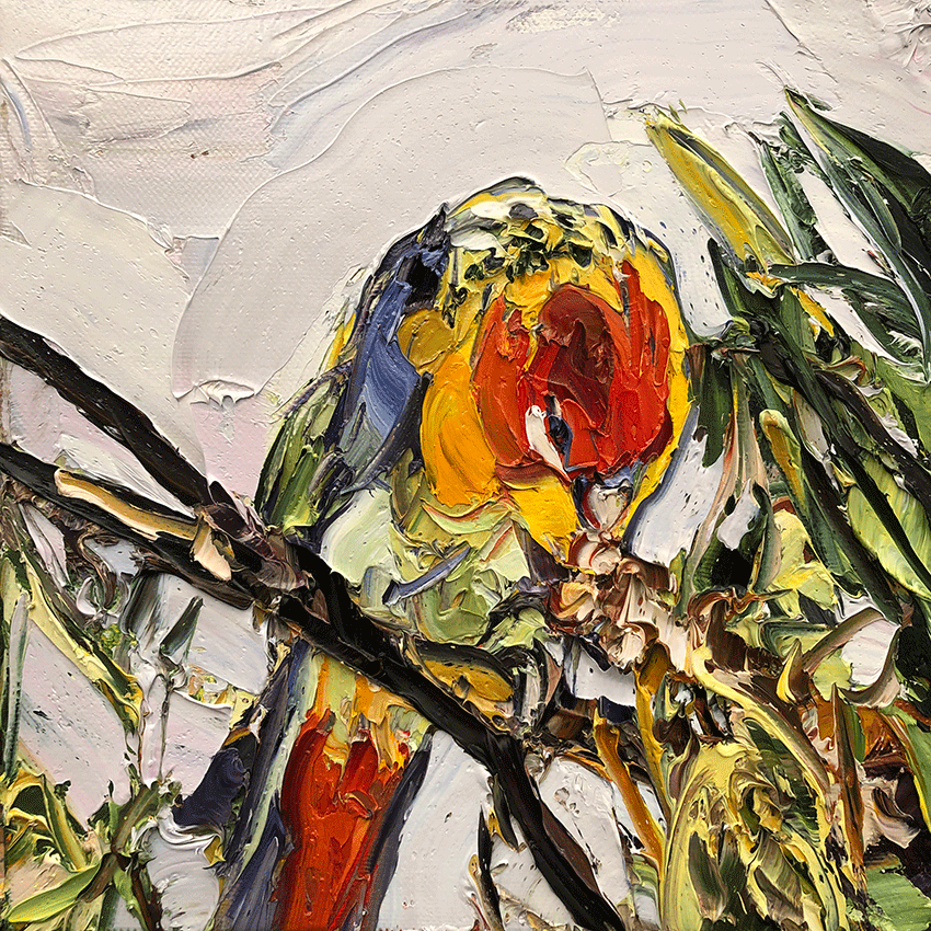 Artwork: Grevillea Lorikeet Feed
