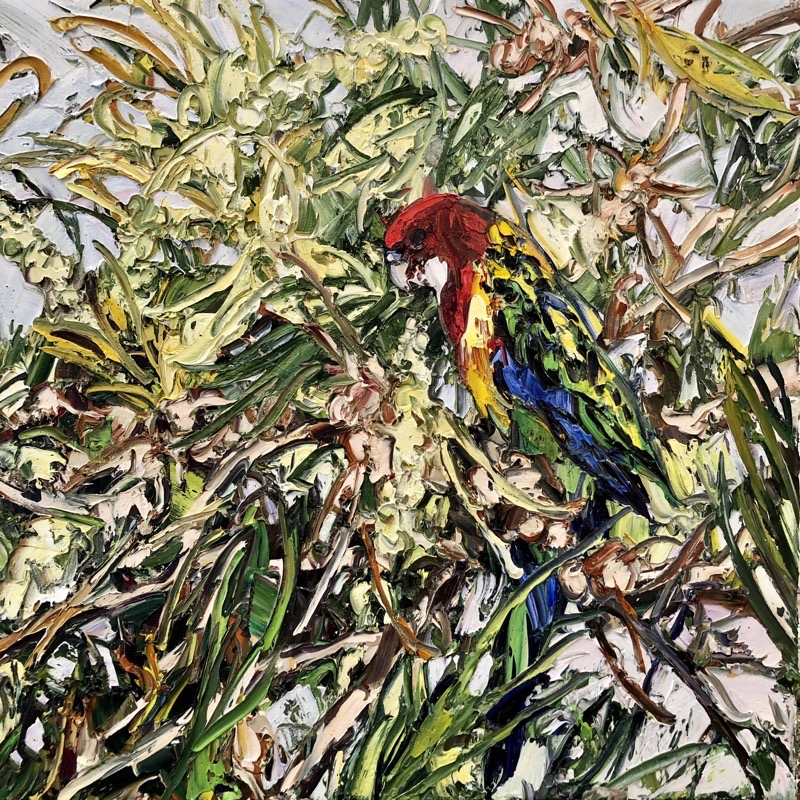 Artwork: Grevilla Rosella