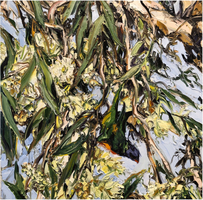 Artwork: Melaleuca Lorikeet