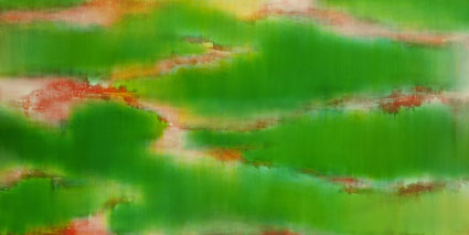 Artwork: Green Forms in Red Air