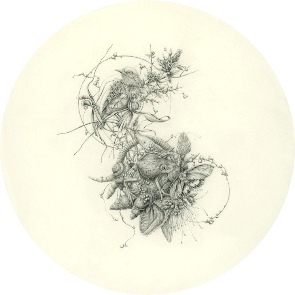 Artwork: Yellowspotted Tree Frog and Spider Orchid