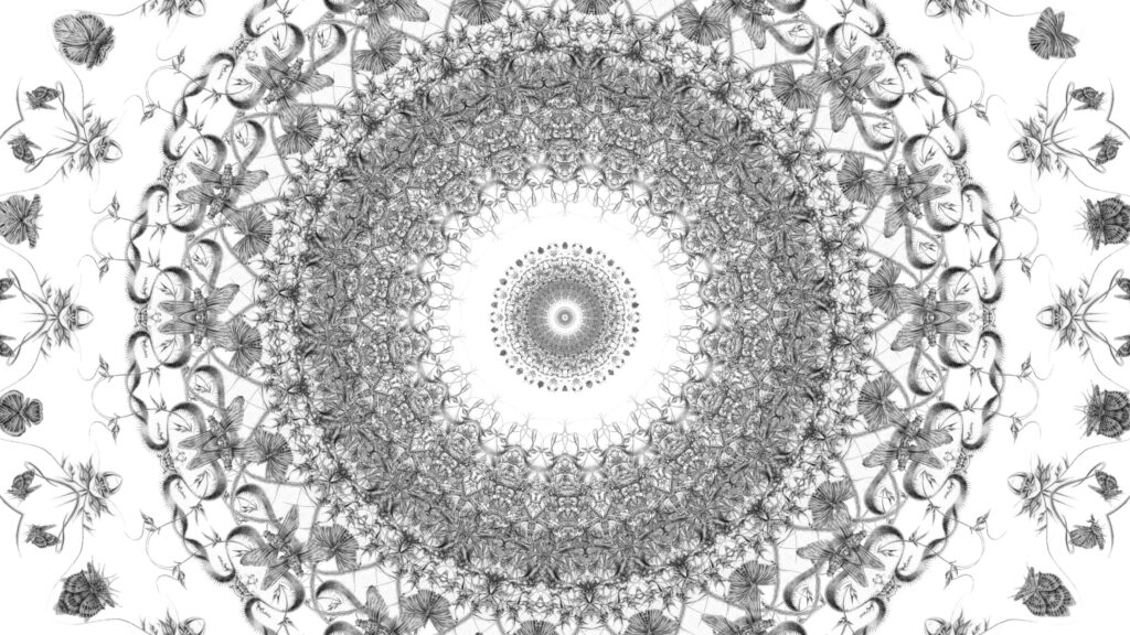 Artwork: The Pinned Moth Cannot Fly