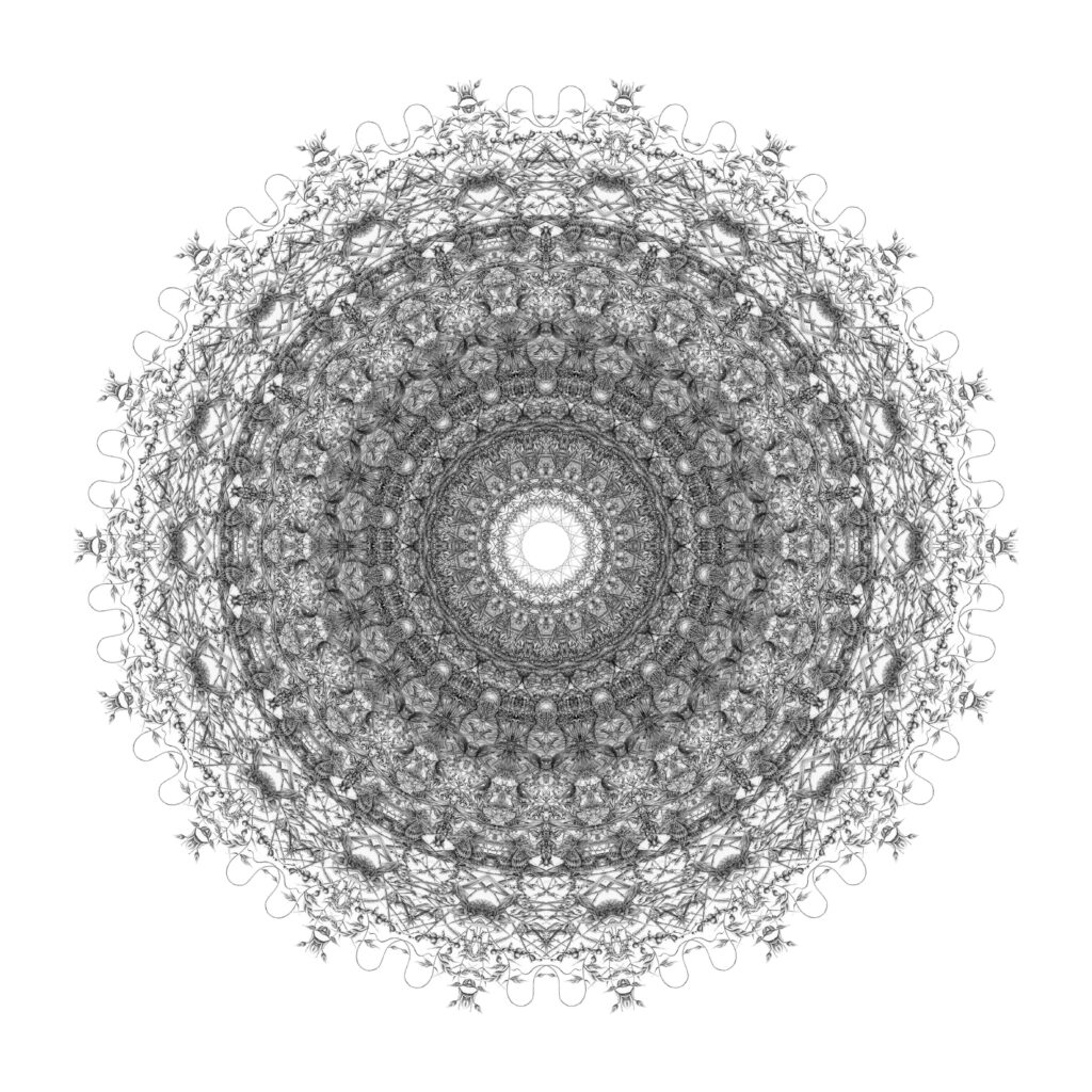 Artwork: Stitching a Web of Winged Things