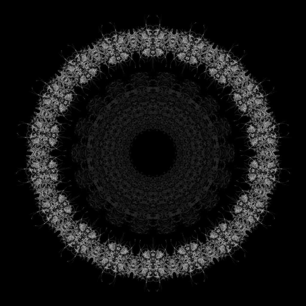 Artwork: Passage to Arcadia