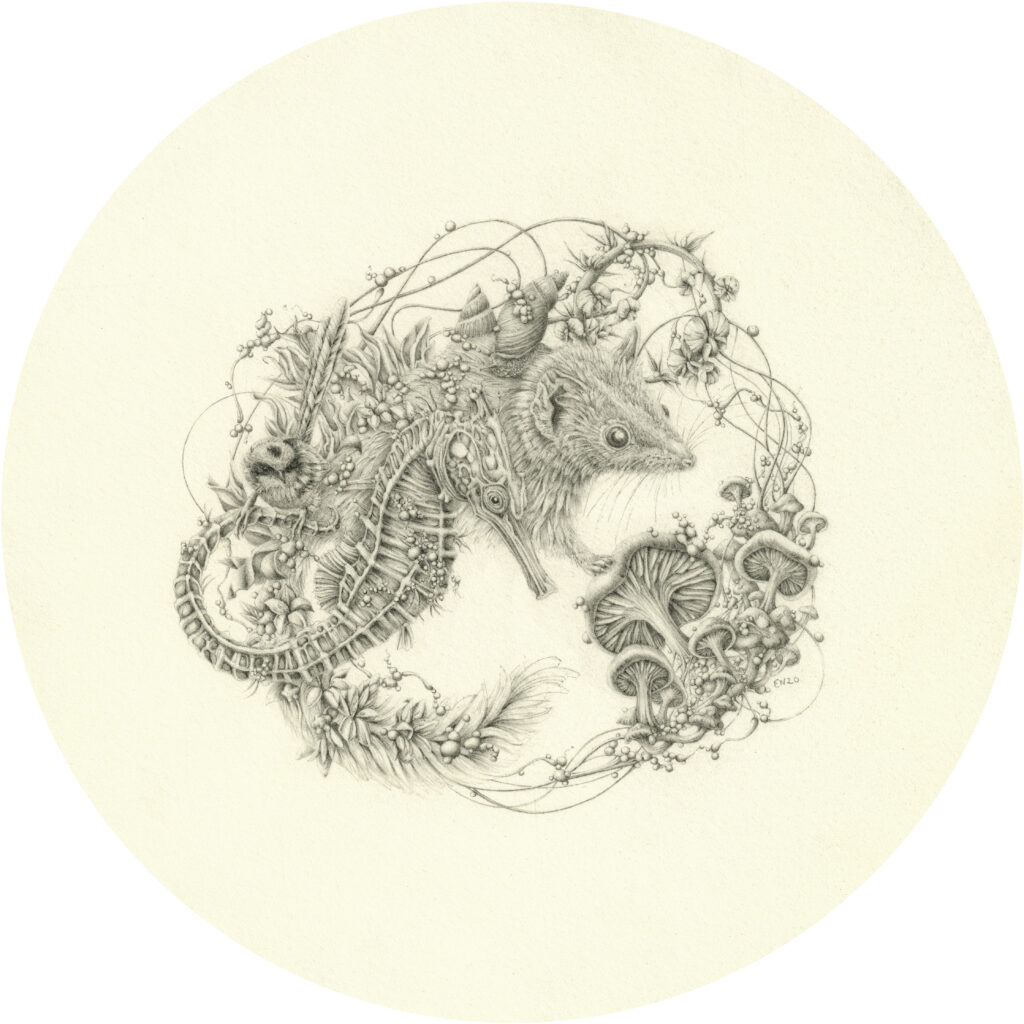 Artwork: Whites Seahorse and Kowari