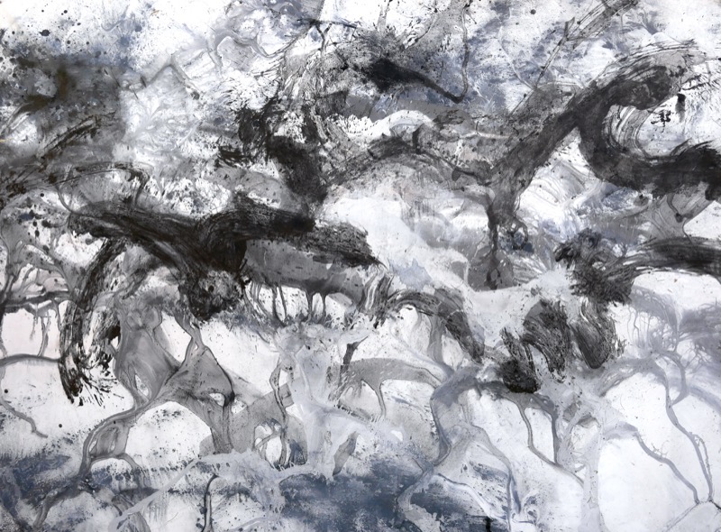 Artwork: Cloaked in folded storms