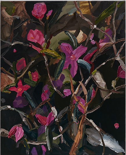 Artwork: Boronia and ash