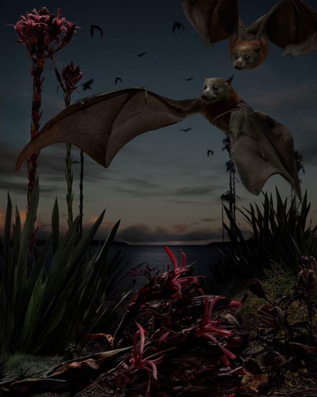 Artwork: Birdscape 3 Bats