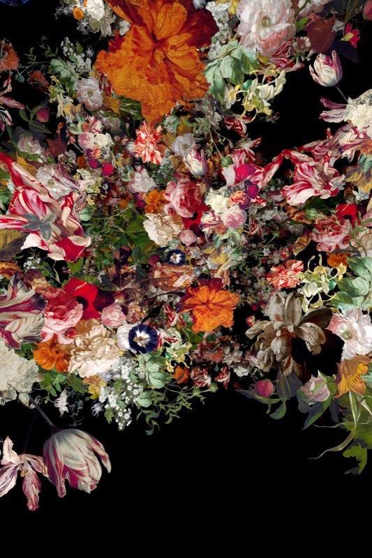 Artwork: Ocular Fleur