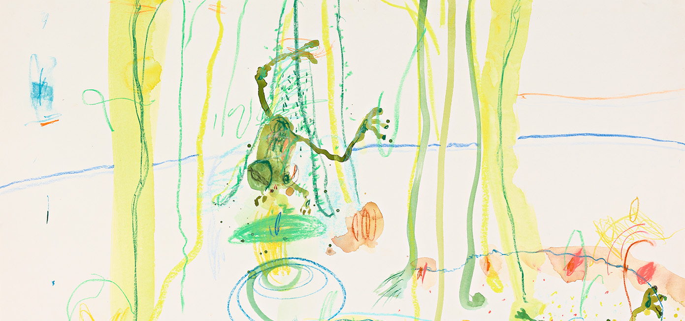 Amphibia: The Anisimoff Collection