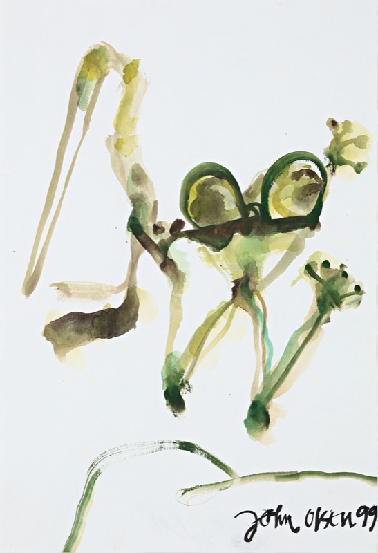 Artwork: Tree Frog untitled