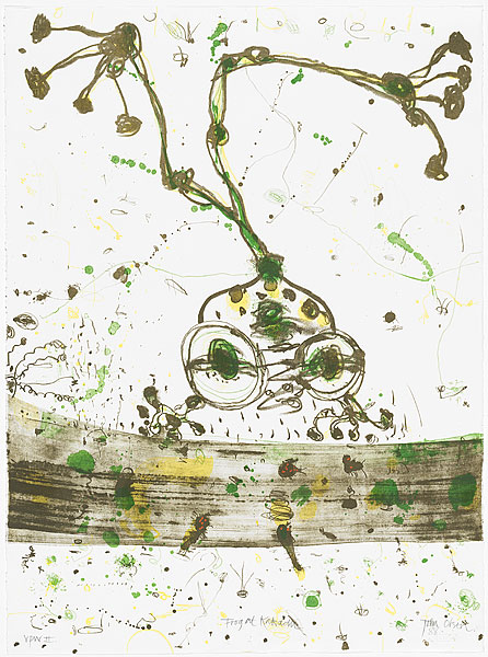 Artwork: Frog at Kakadu
