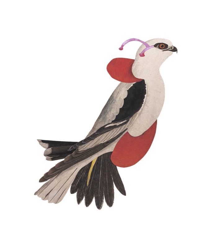 Artwork: A Chorus Line Stanley