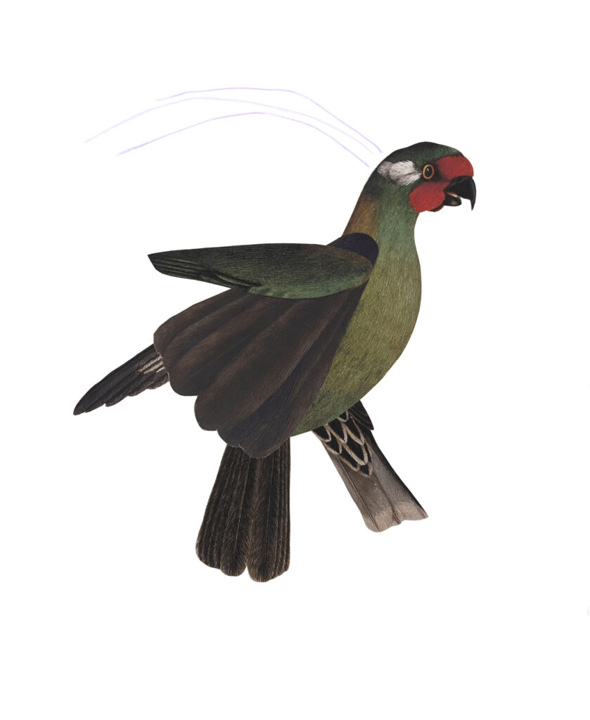 Artwork: A Chorus Line: May