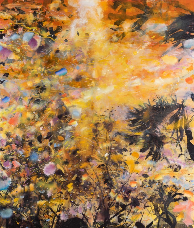 Outside With the Prospector