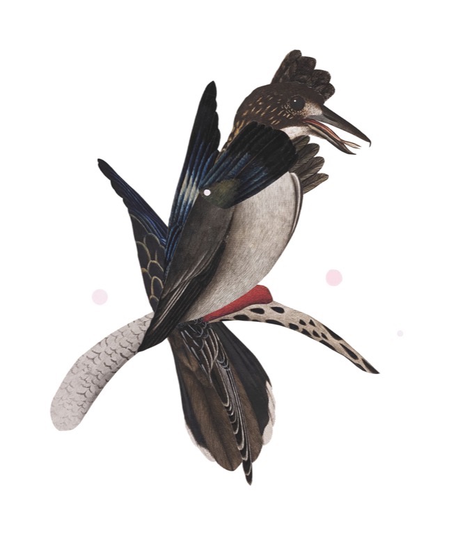 Artwork: A Chorus Line Harry