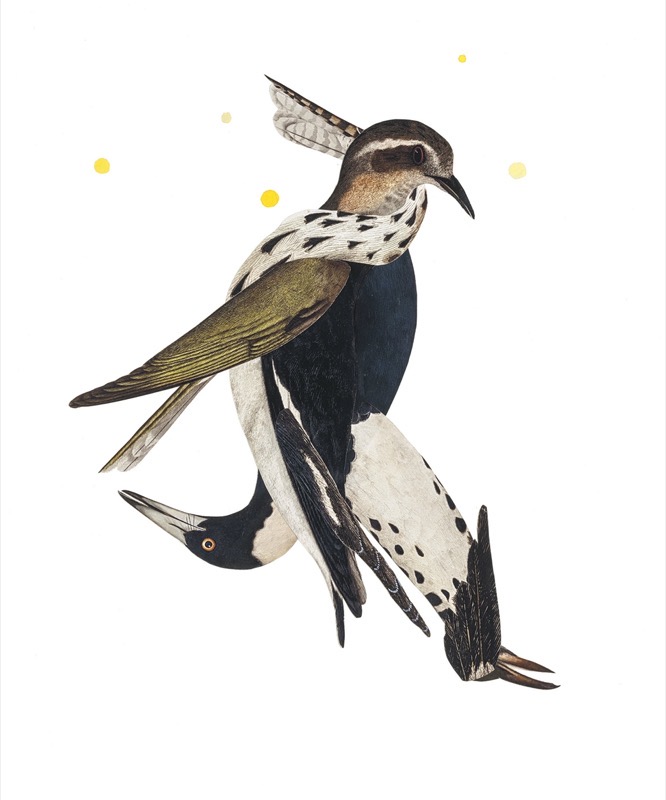 Artwork: A Chorus Line William