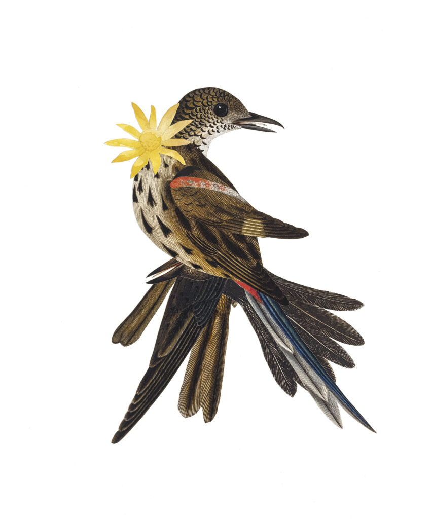 Artwork: A Chorus Line Jemima