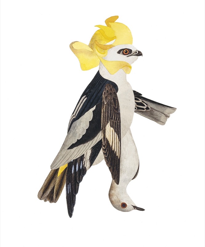 Artwork: A Chorus Line Augusta