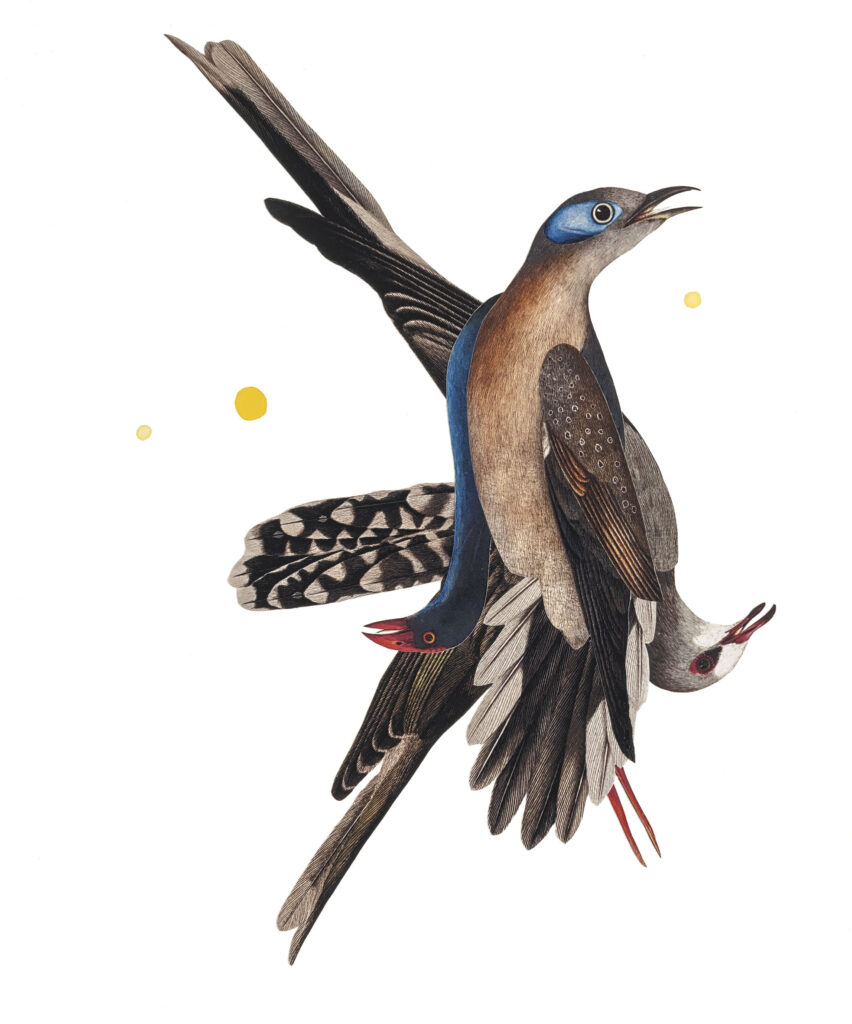 Artwork: A Chorus Line Emily