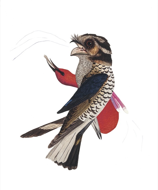 Artwork: A Chorus Line Thomas