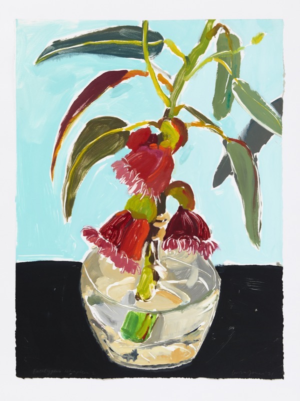 Artwork: Eucalyptus Tetraptera 2