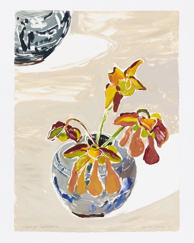 Artwork: Orange Sarracenia