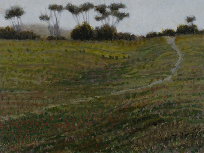 Artwork: Painting 308 Coopers Shoot