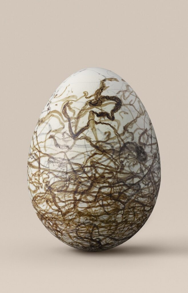 Artwork: Spotted bowerbird egg