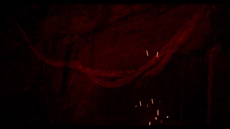 Artwork: ALLEGORY OF RED