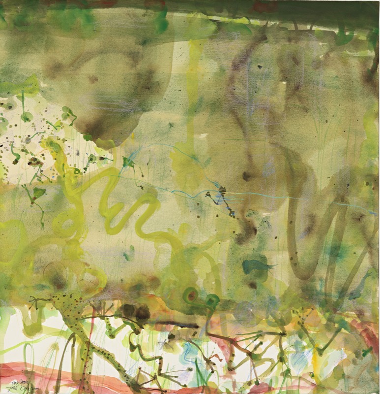 Artwork: The Little River Frog Spawn