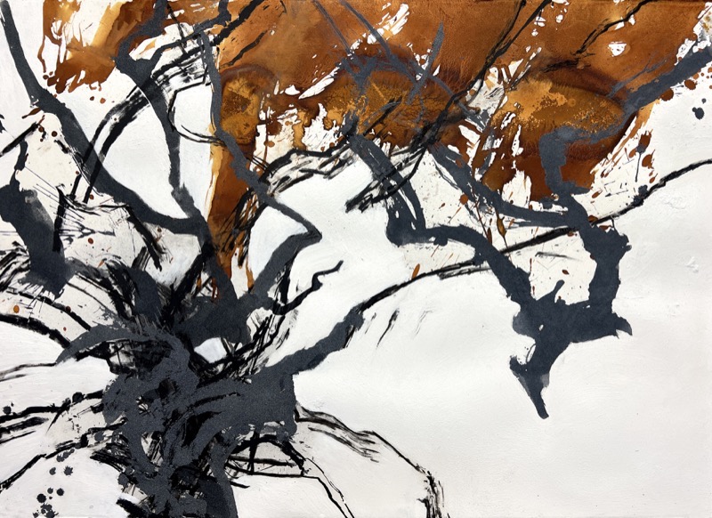 Artwork: Firebolt and fury