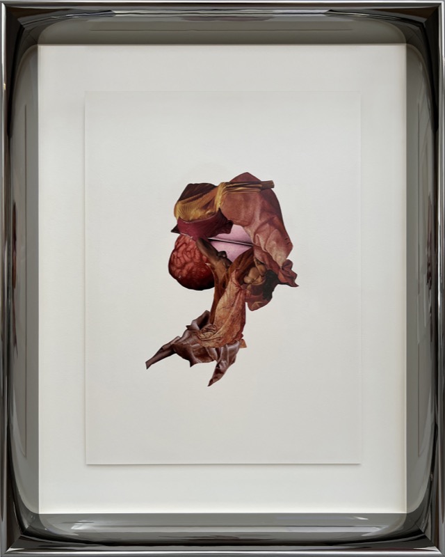 Artwork: Tender and glisten