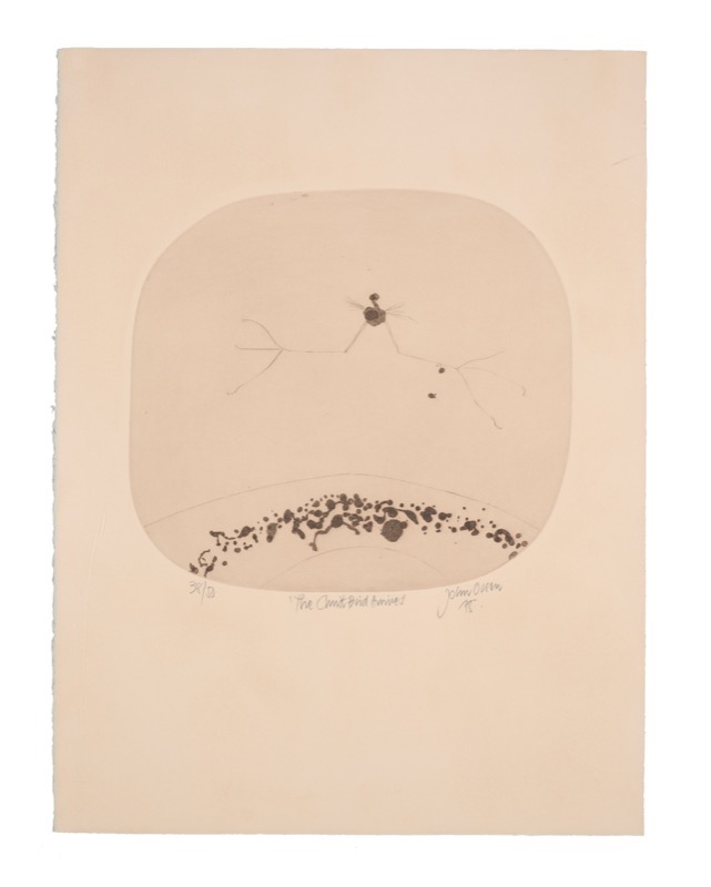 Artwork: The Christ Bird Arrives