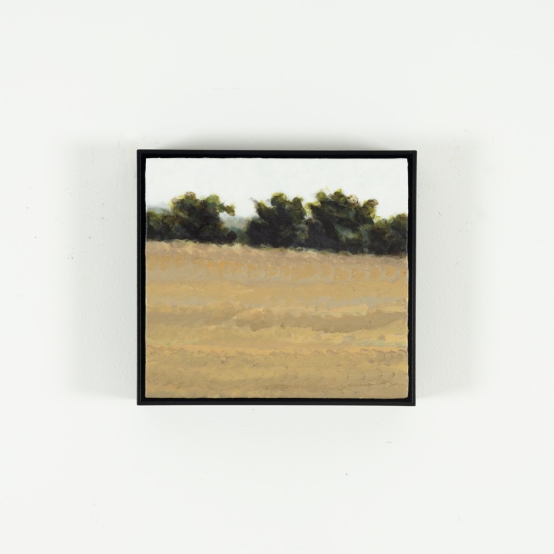 Artwork: Painting 318 Coopers Shoot