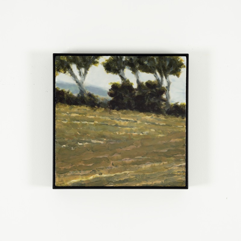 Artwork: Painting 312 Coopers Shoot