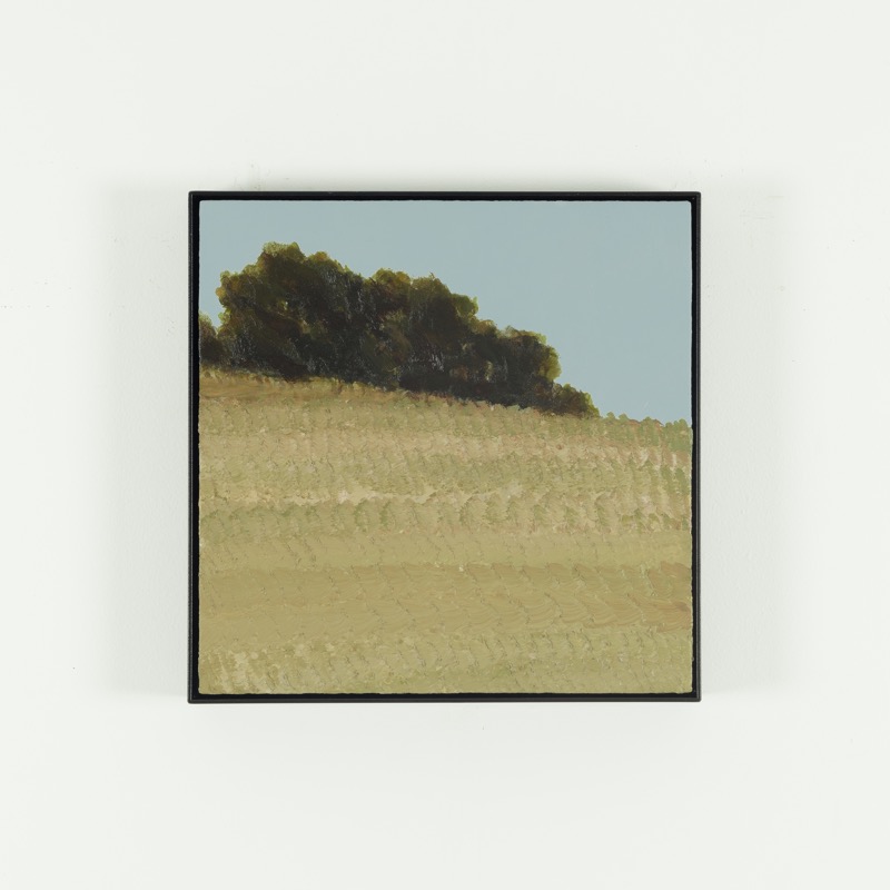 Artwork: Painting 320 Coopers Shoot