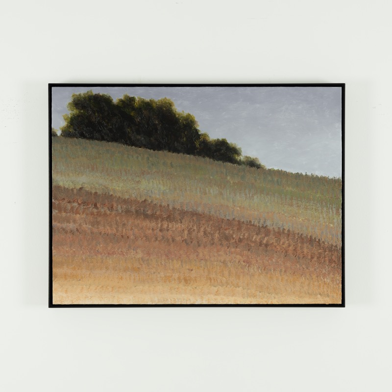 Artwork: Painting 322 Coopers Shoot