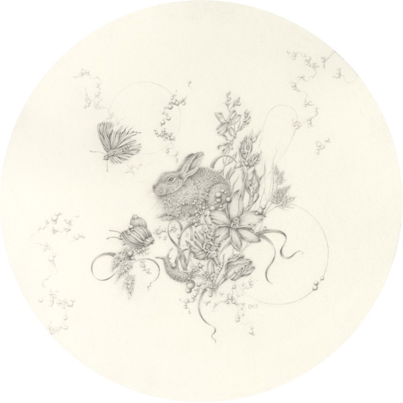 Artwork: Largespotted Sun Orchid and Rabbit