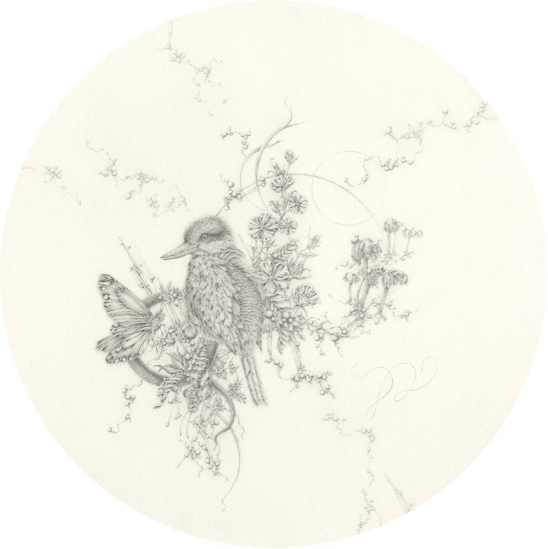 Artwork: Redbacked Kingfisher and Velvet Hibiscus