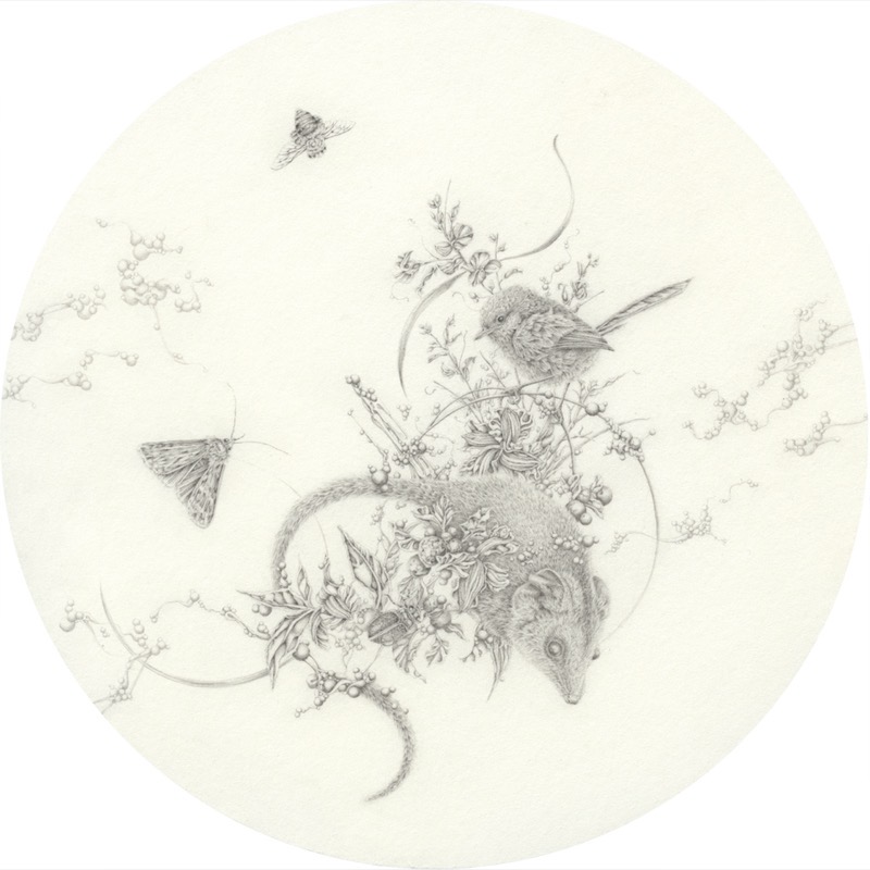 Artwork: Stripefaced Dunnart and Whitewinged Fairywren