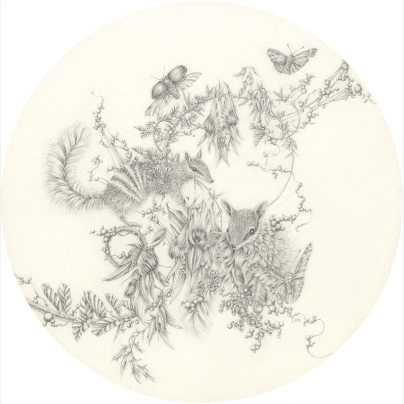 Artwork: Sturts Desert Pea and Numbat